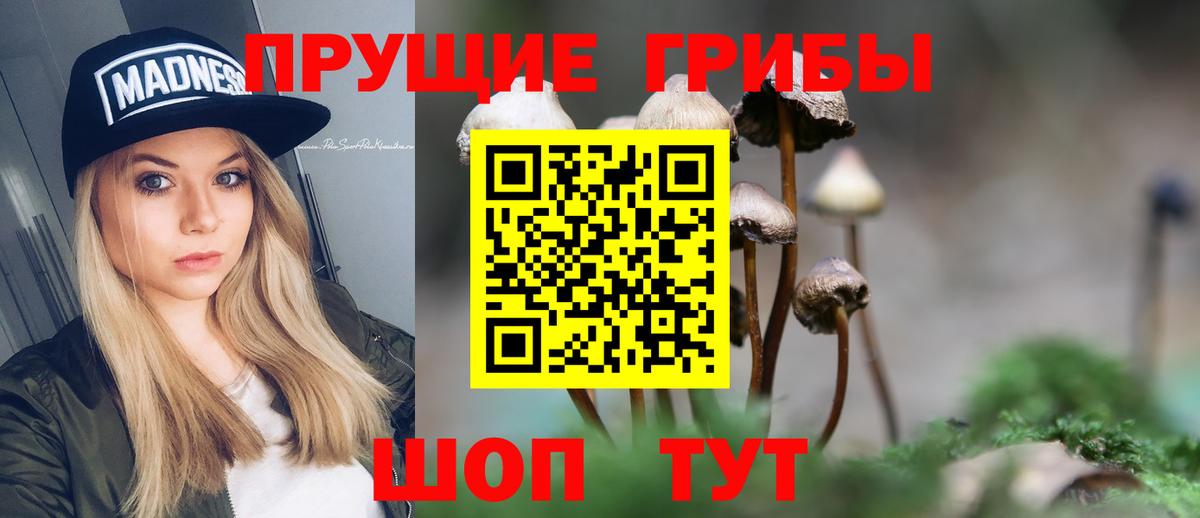 Галлюциногенные грибы ЛСД  даркнет сайт  Губкин  Вход с VPN 