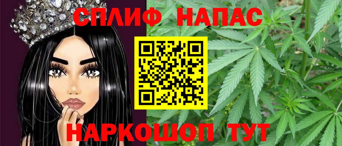Канабис сатива Губкин